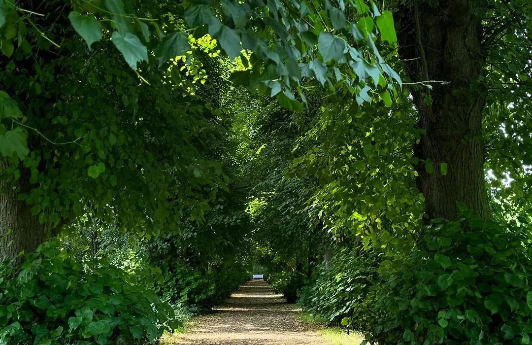 Haus am Park-1